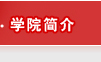 日本av简介
